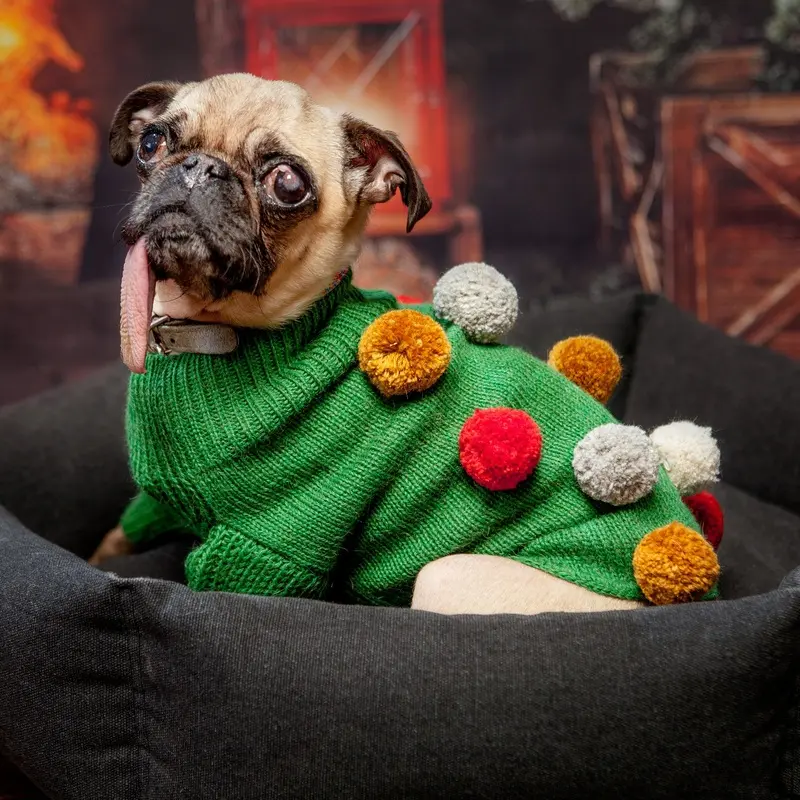 OEUF | Green Pom Pom Sweater