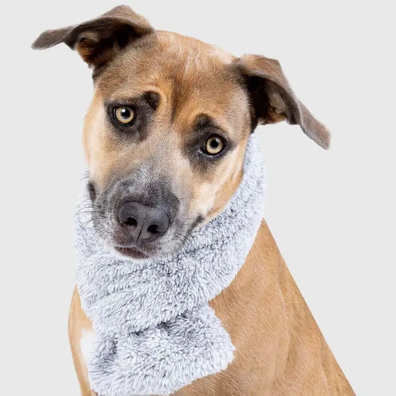 Snuggle Scarf