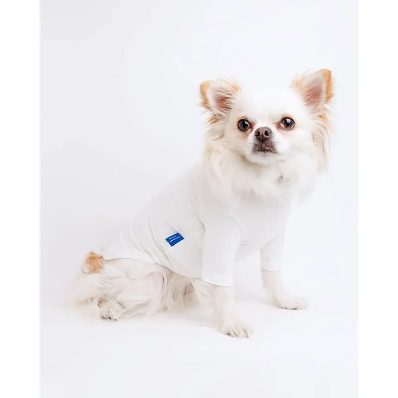 Body Warm Turtleneck in White (FINAL SALE)