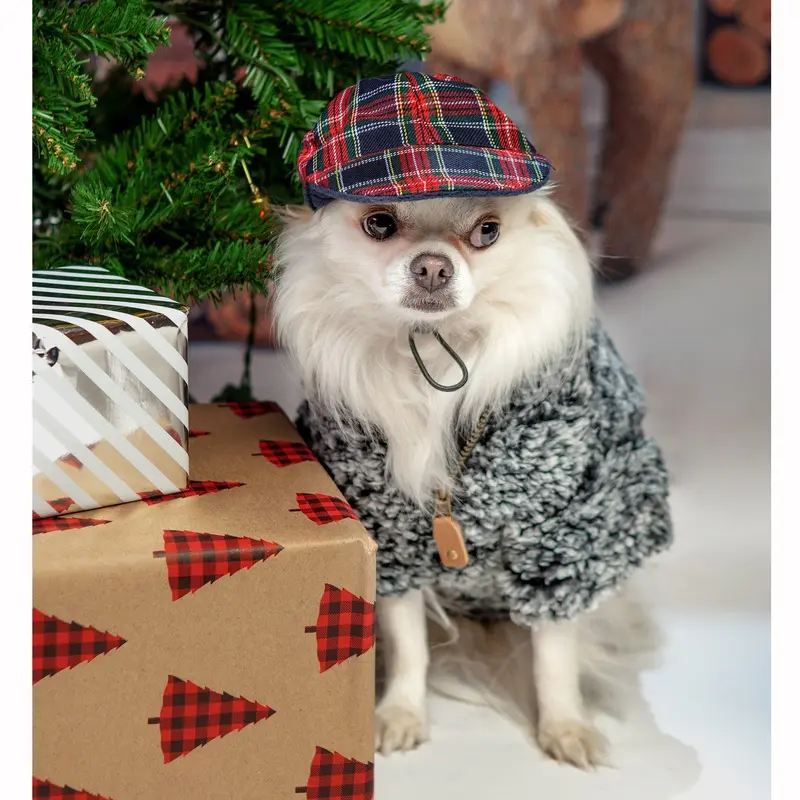 CROCI | British Cap in Red Plaid