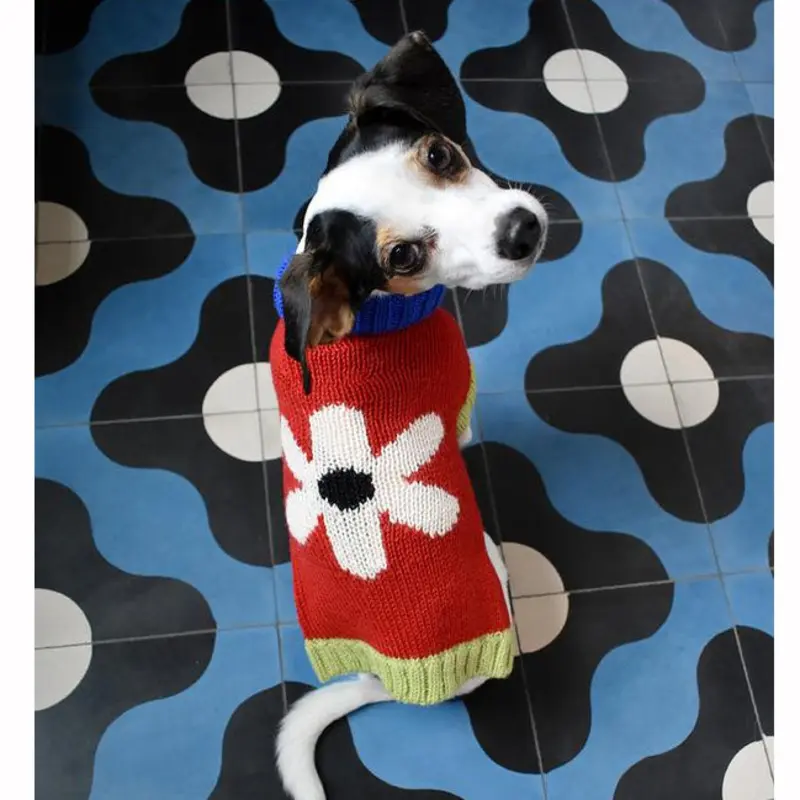 DUSEN DUSEN | Flower Dog Sweater