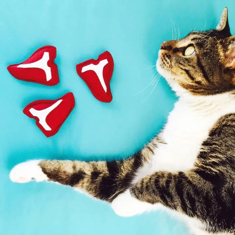HOUSECAT CLUB | Catnip T Bone Steak