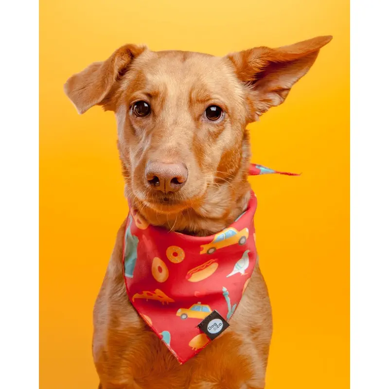 Nutty for New York Dog Bandana