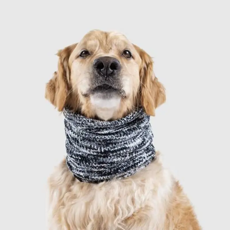CANADA POOCH | Chenille Snood in Grey Mix