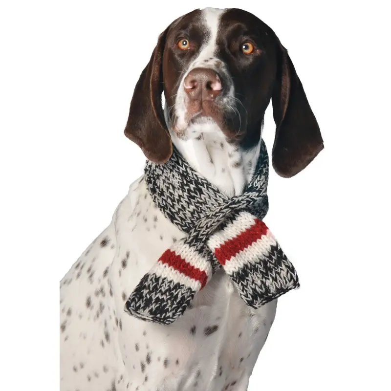 CHILLY DOG | Boyfriend Scarf
