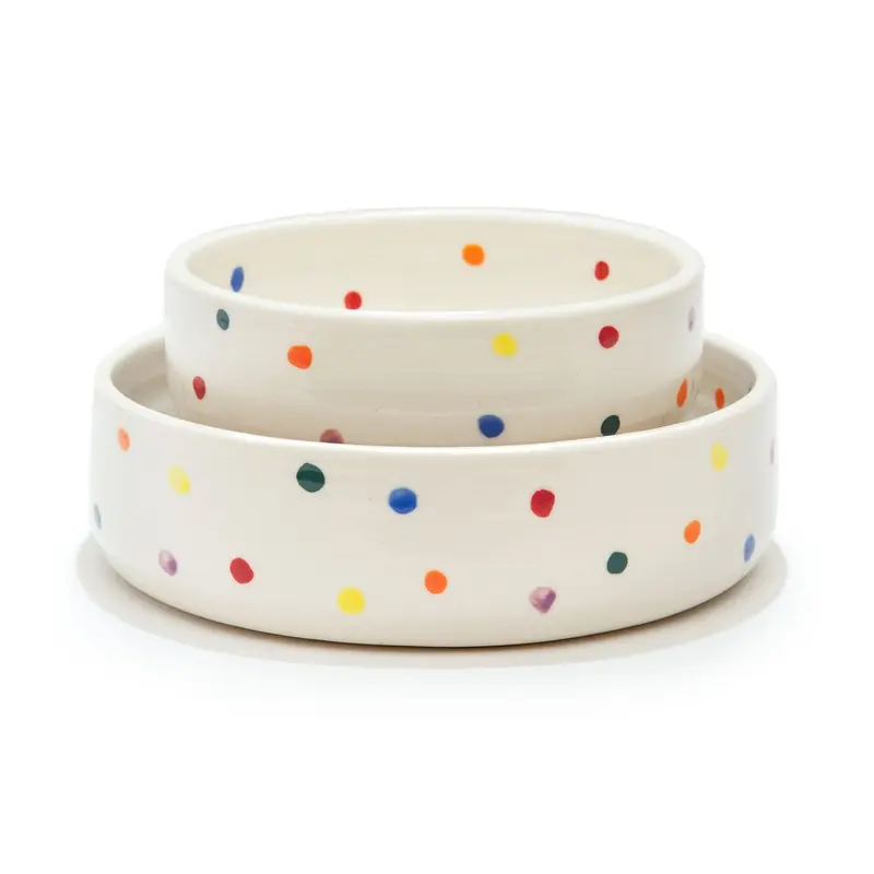 Colorful Dots Bowl (Dog & Co. Exclusive)