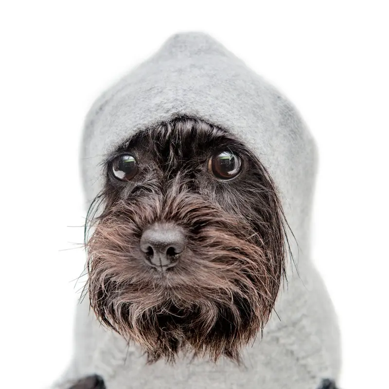 The Marmalady Cashmere Dog Hoodie in Brume Grey (Made in the USA)