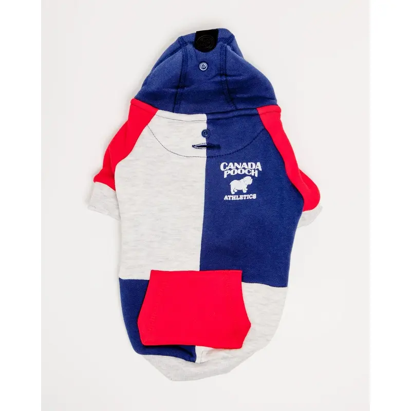 Colorblock Hoodie in Navy (FINAL SALE)