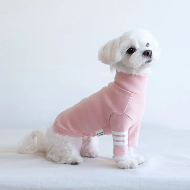 DENTISTS APPOINTMENT | Striped Point Turtleneck in Soft Pink