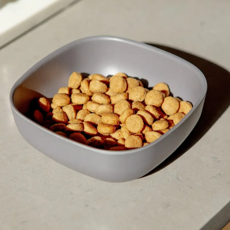 Biobu Gusto Dog Bowl in Smoke
