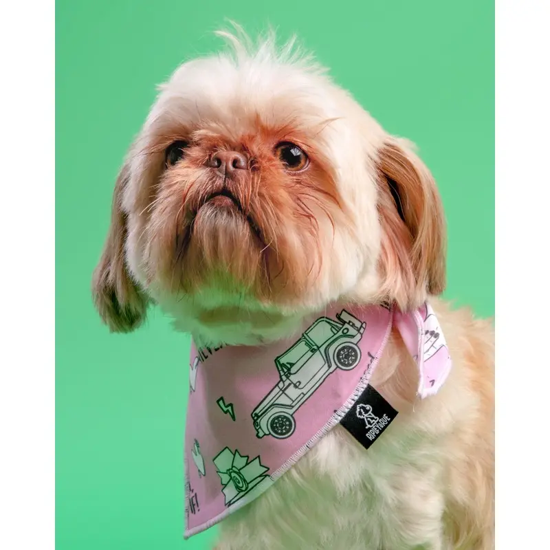 Chewless AS IF Dog Bandana (FINAL SALE)