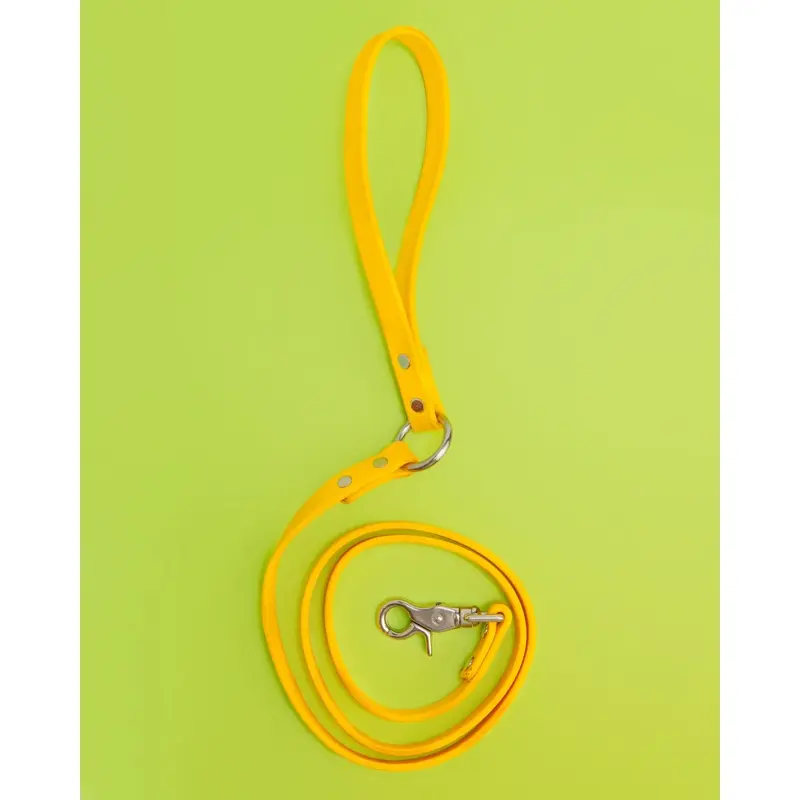 City Leash in Golden Yellow
