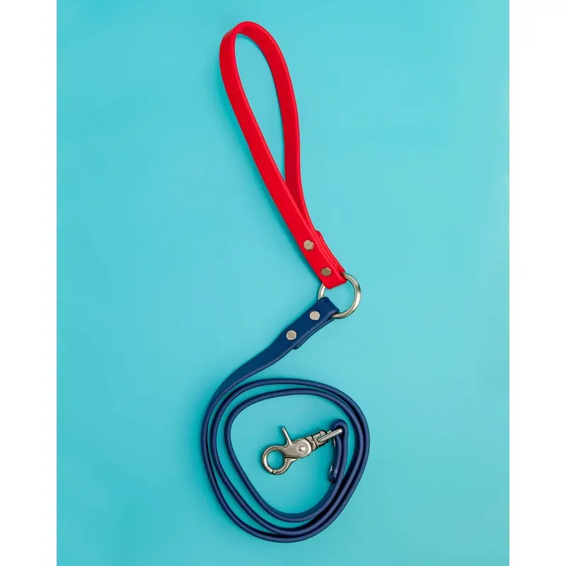 City Leash in Red & Navy