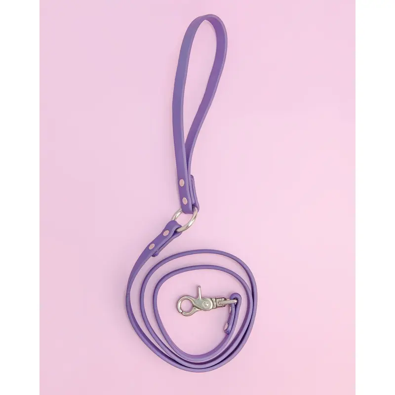 City Leash in Royal Purple (FINAL SALE)