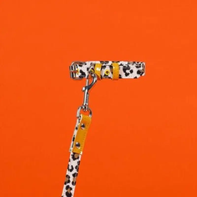 Leopard and Stripe Collar