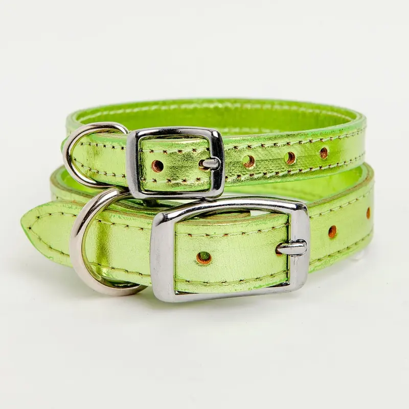 Shimmer Leather Dog Collar in Metallic Acid Green << FINAL SALE >>