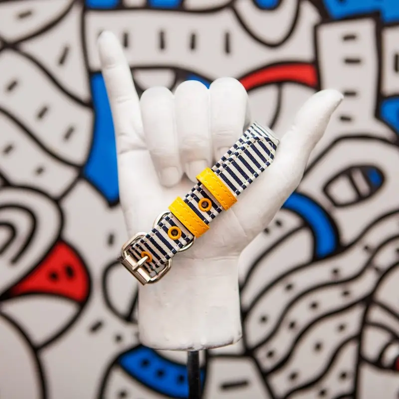 Striped Canvas Collar