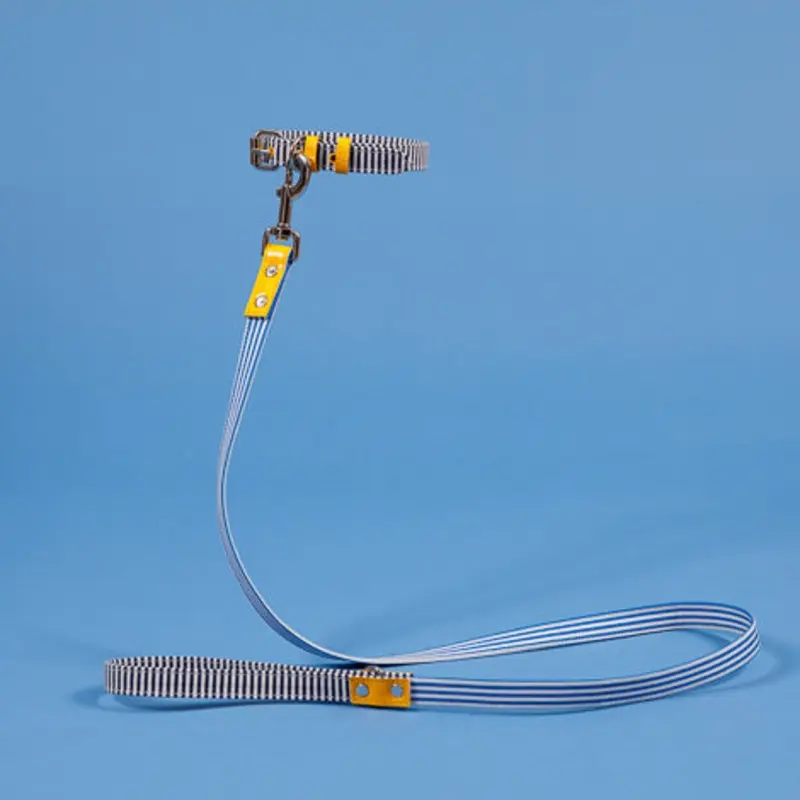 Striped Canvas Leash