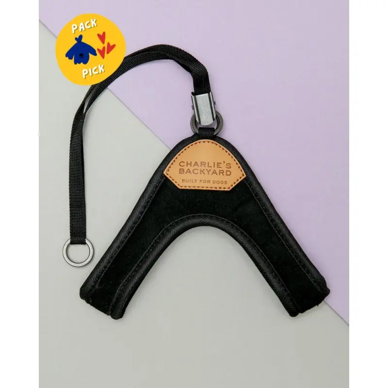 Adjustable Easy Dog Harness in Black