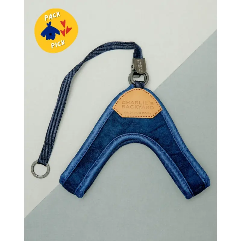 Adjustable Easy Dog Harness in Navy