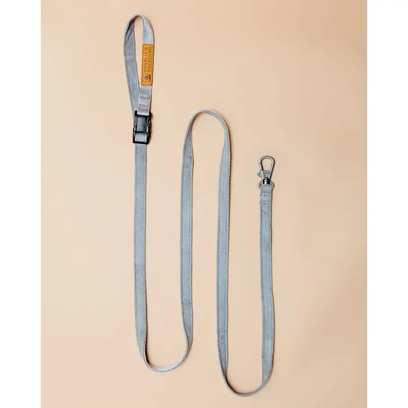 Adjustable Easy Dog Leash in Gray