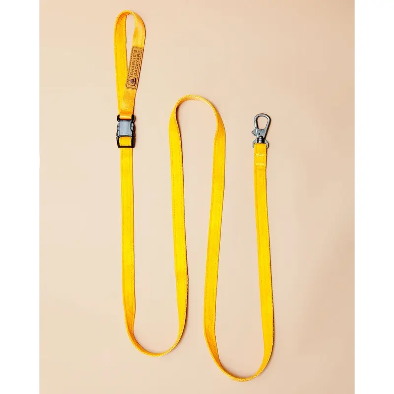 Adjustable Easy Dog Leash in Yellow