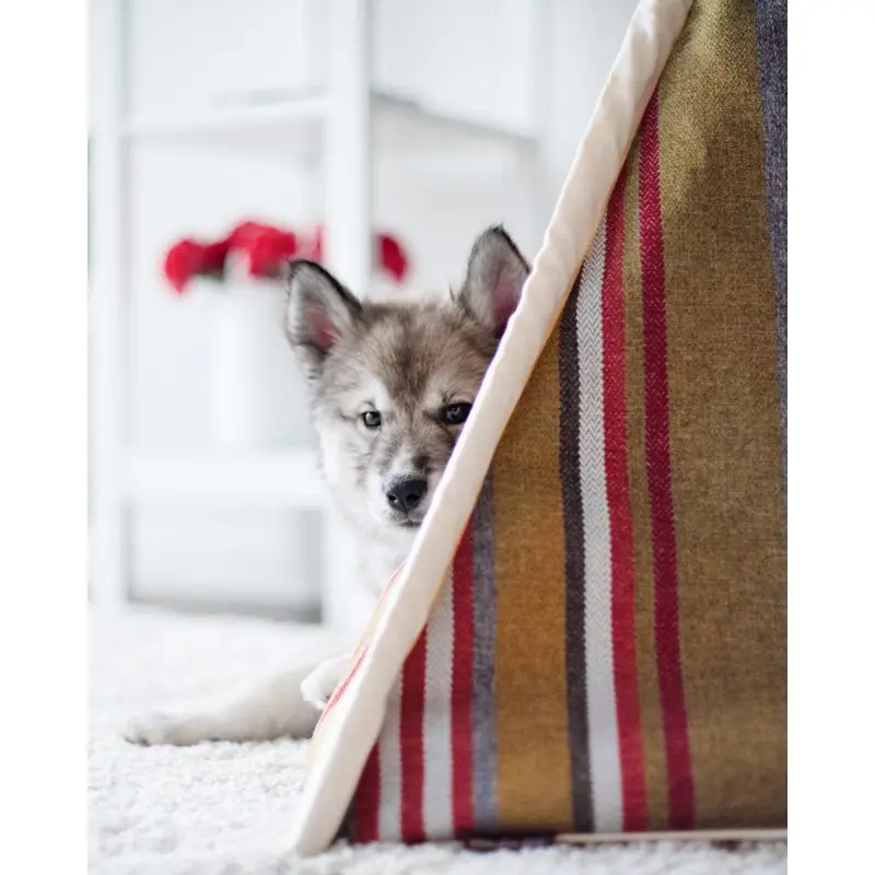 Horizon Pet Tent in Woodland (Direct-Ship)