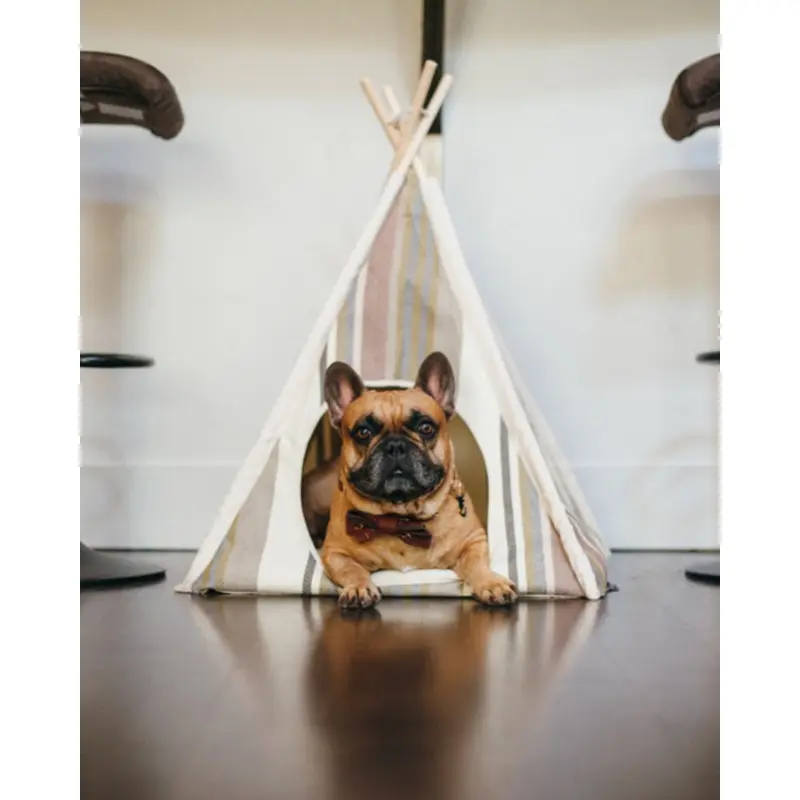 Striped Pet Teepee in Seacoast (Drop-Ship)