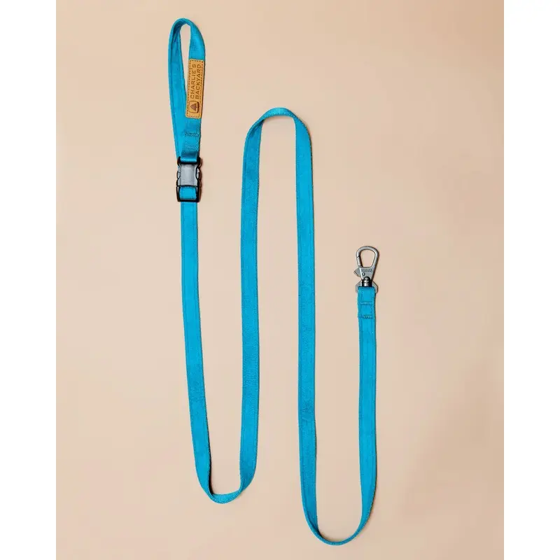 Adjustable Easy Dog Leash in Teal