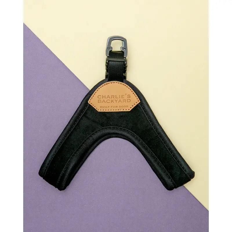 Buckle Up Easy Dog Harness in Black