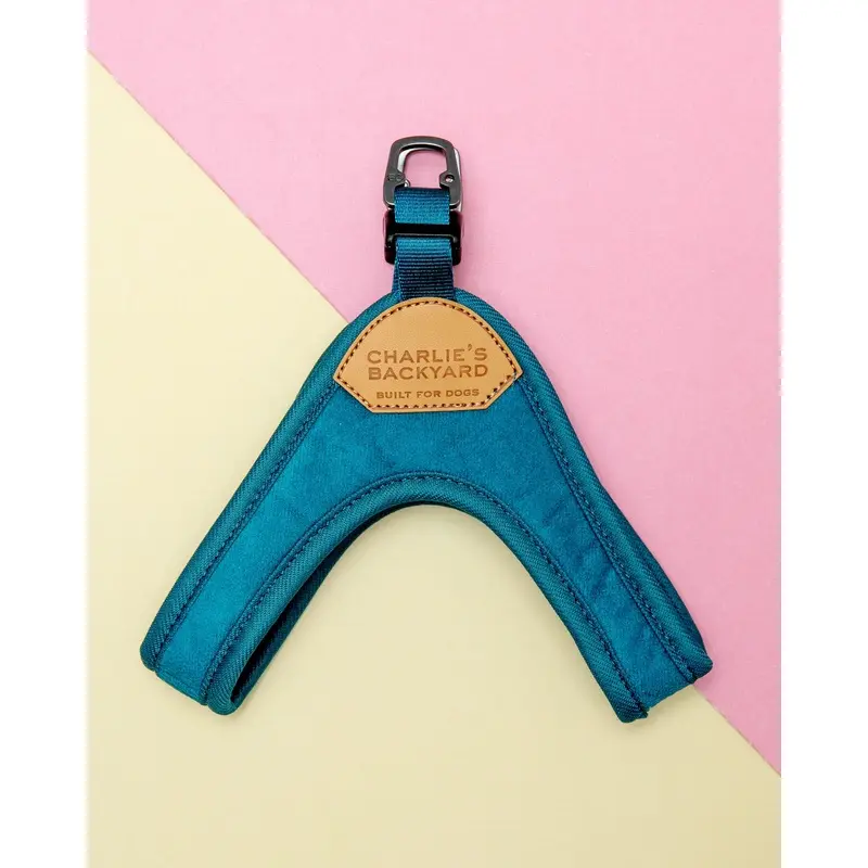 Buckle Up Easy Dog Harness in Teal