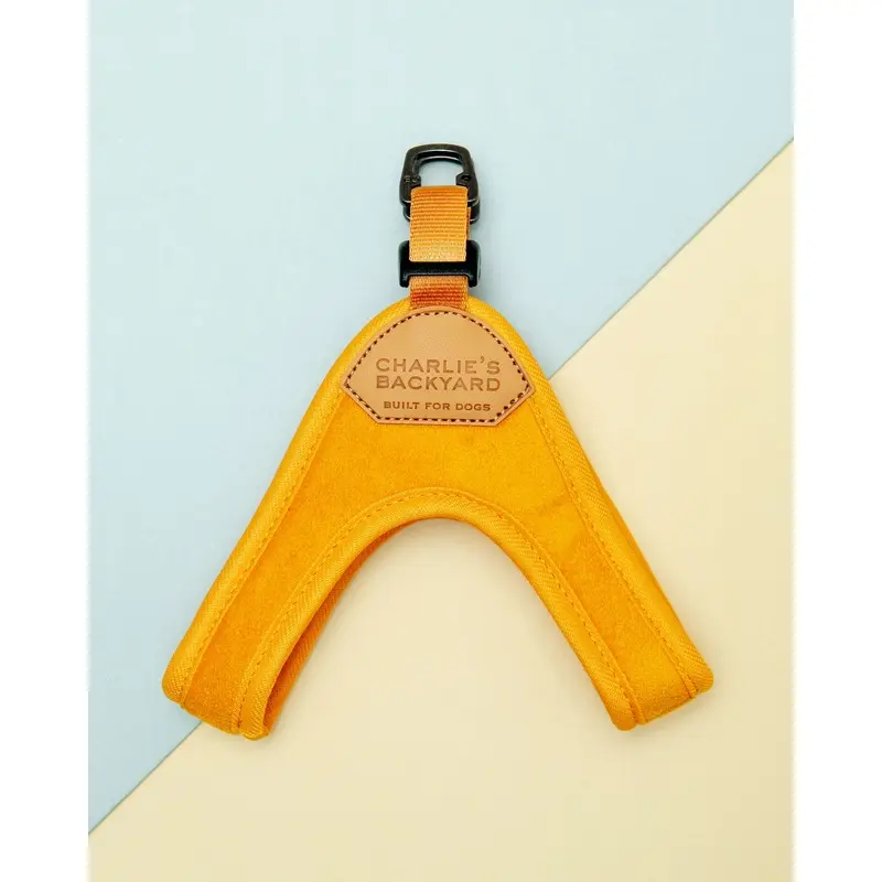 Buckle Up Easy Dog Harness in Yellow