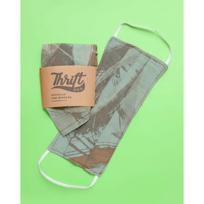 Face Mask & Dog Bandana Set in Mint Green