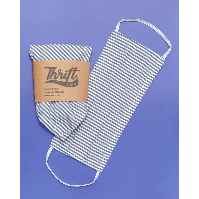 Face Mask & Dog Bandana Set in Nautical Stripe
