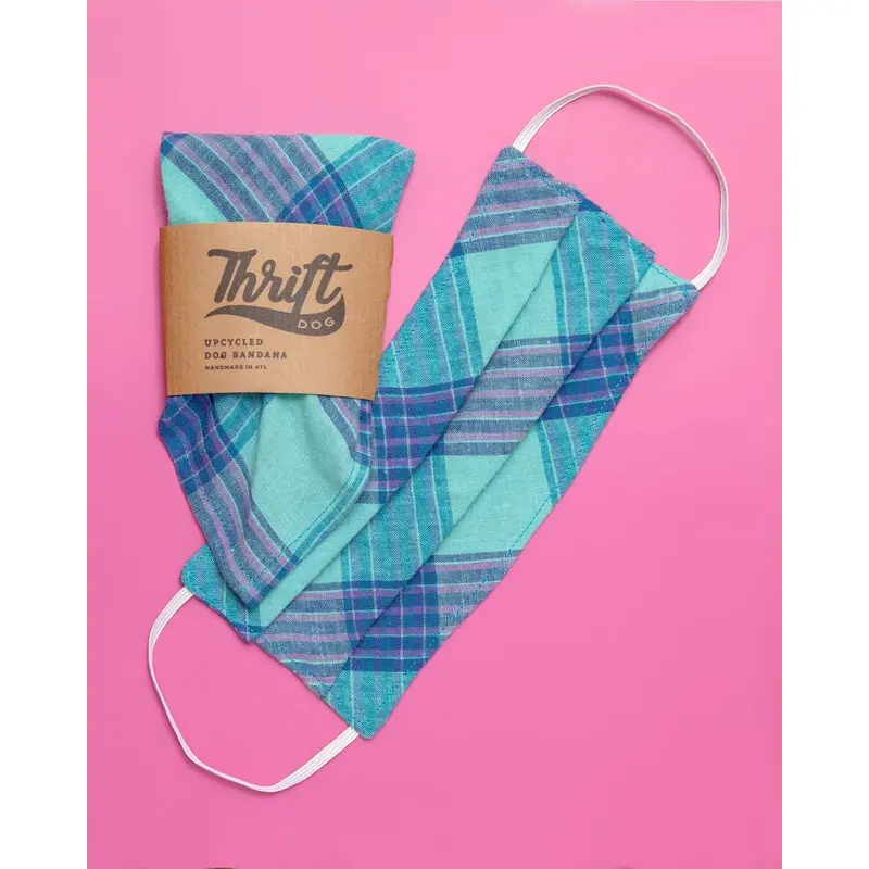 Face Mask & Dog Bandana Set in Teal Plaid