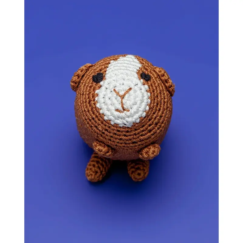 Guinea Pig Organic Knit Dog Toy