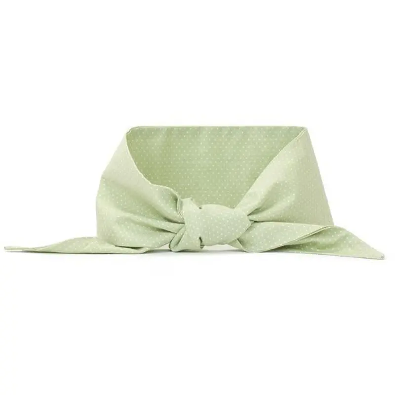 Neck Tie in Mint Polkadot (FINAL SALE)