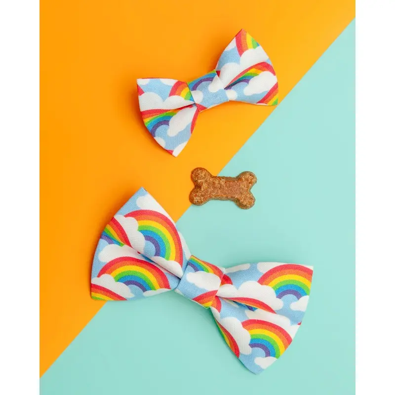 The Bright Side Rainbow Bow Tie