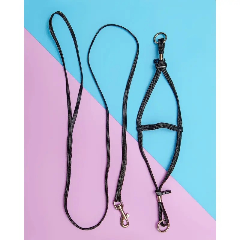 Tiny Dog Step-In Harness + Lead in Black