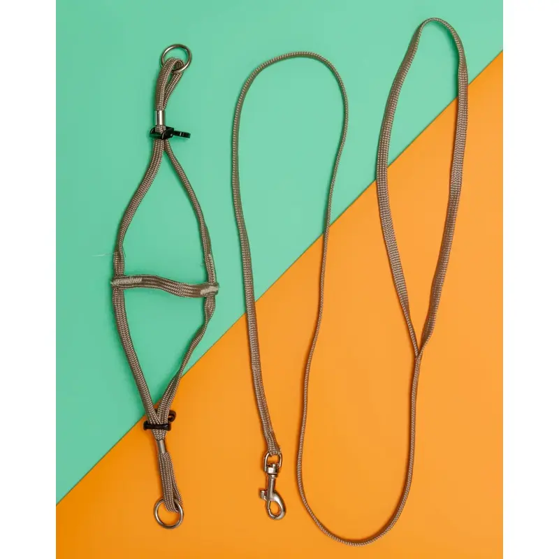 Tiny Dog Step-In Harness + Lead in Tan