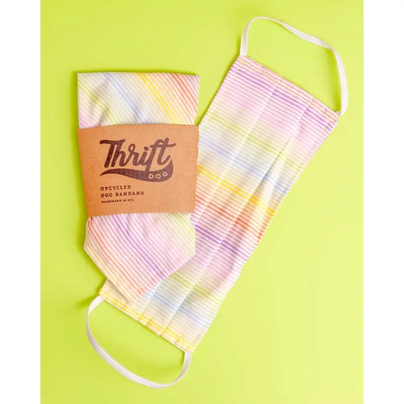 Matching Face Mask & Dog Bandana Set in Sunset Stripe (FINAL SALE)