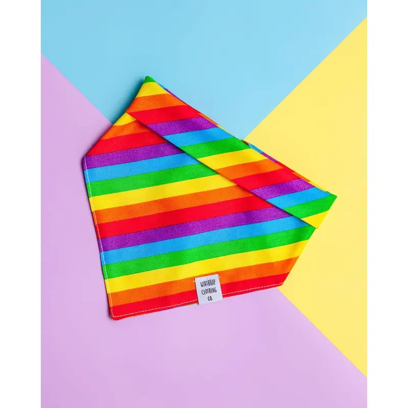 Snap-on Dog Bandana in Really Rainbow (FINAL SALE)