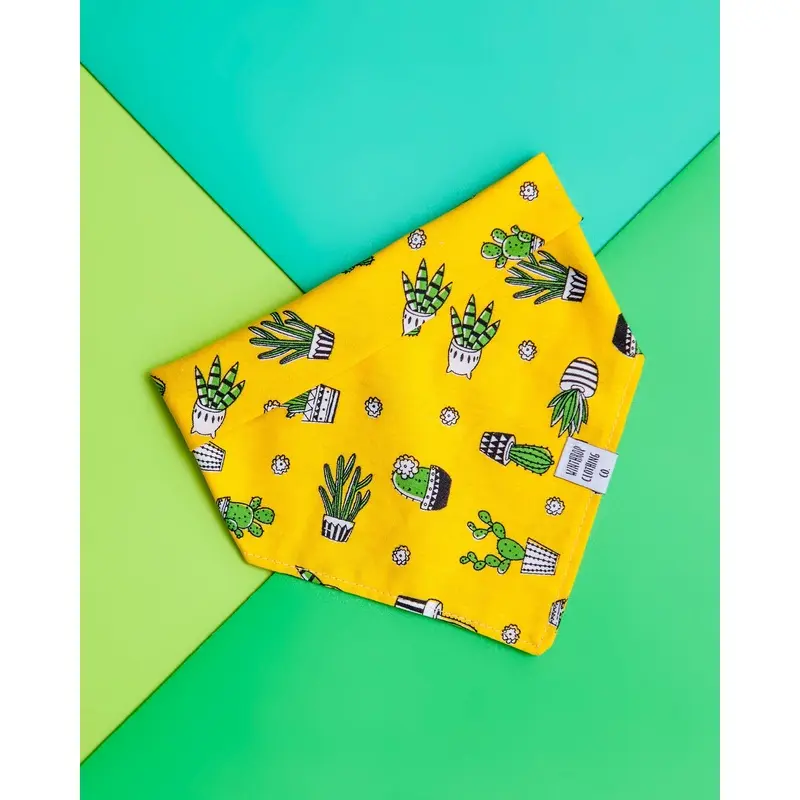 Snap-on Dog Bandana in Yellow Cactus (FINAL SALE)