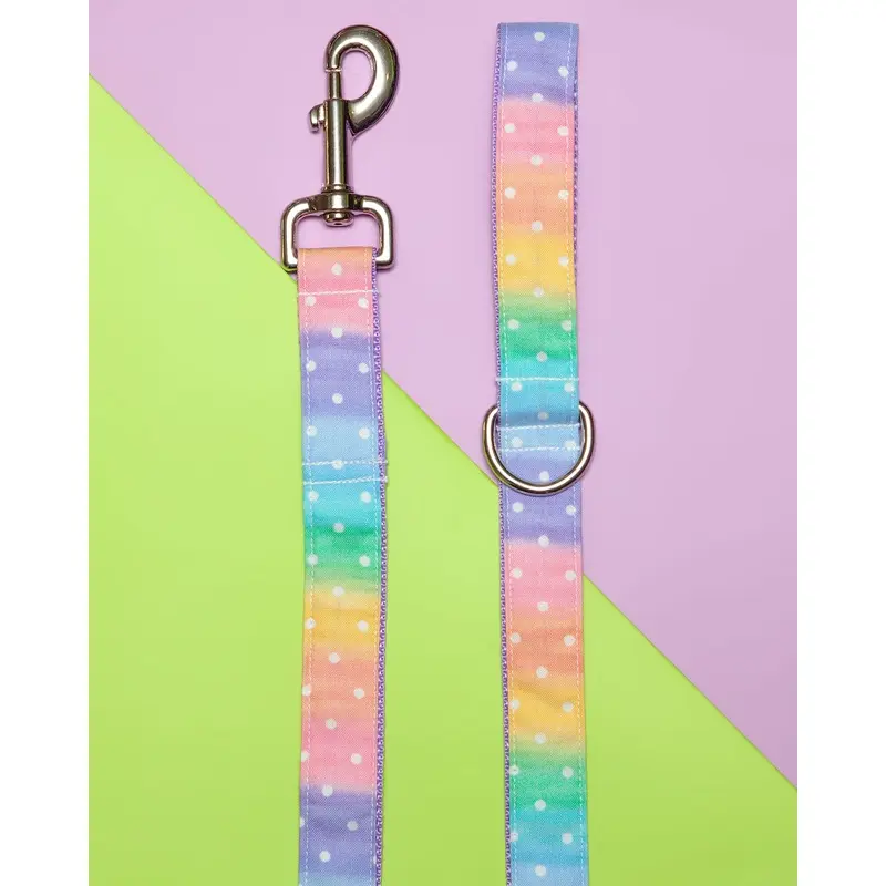 Pastel Rainbow Ombre Dot Print Dog Leash (FINAL SALE)