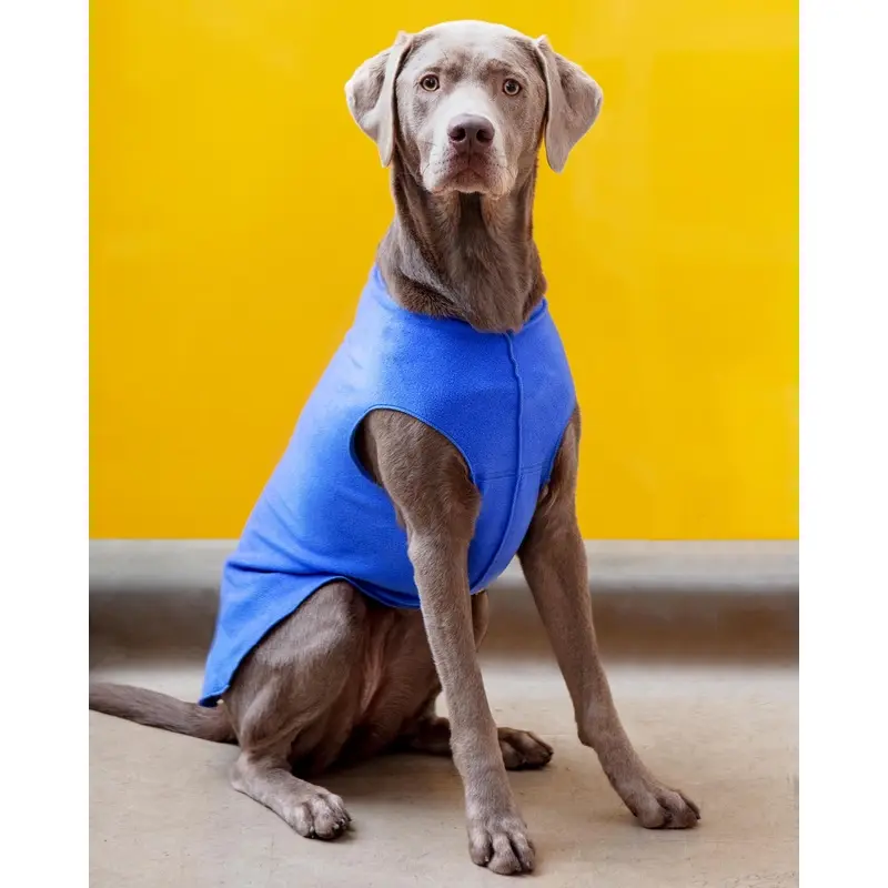Stretch Fleece Pullover in Cornflower Blue