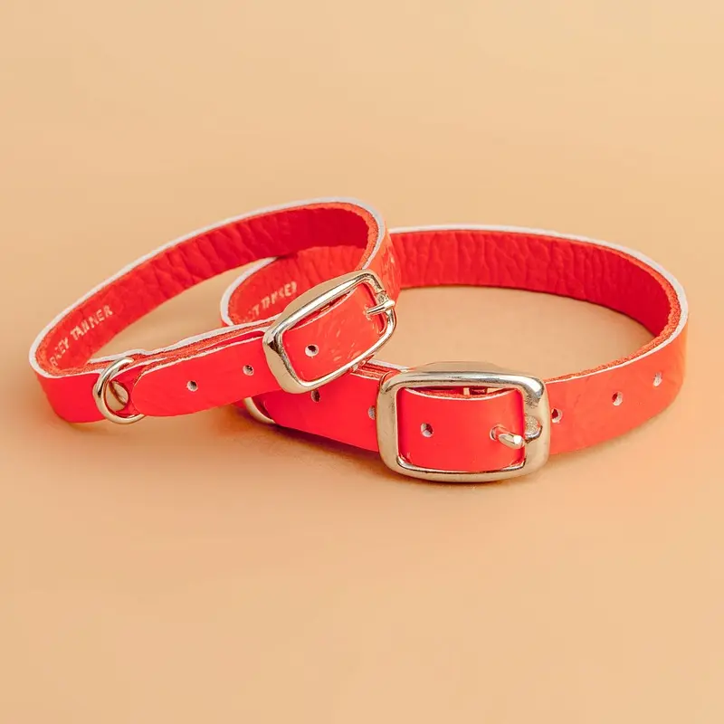 The Cleo Leather Tag Collar in Fluoro Red (Dog & Co. Exclusive) (FINAL SALE)