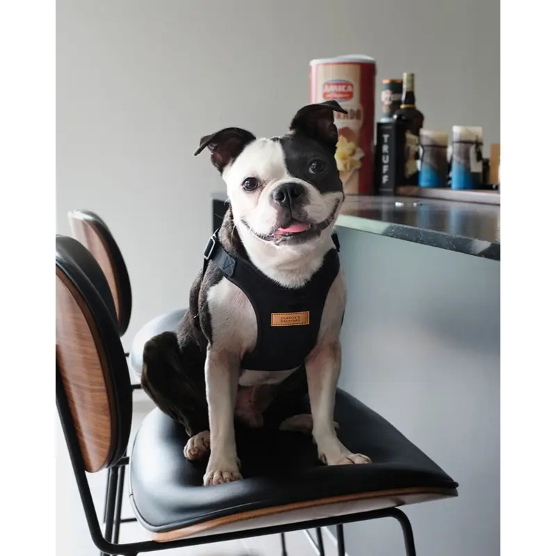 Comfort Dog Harness in Black
