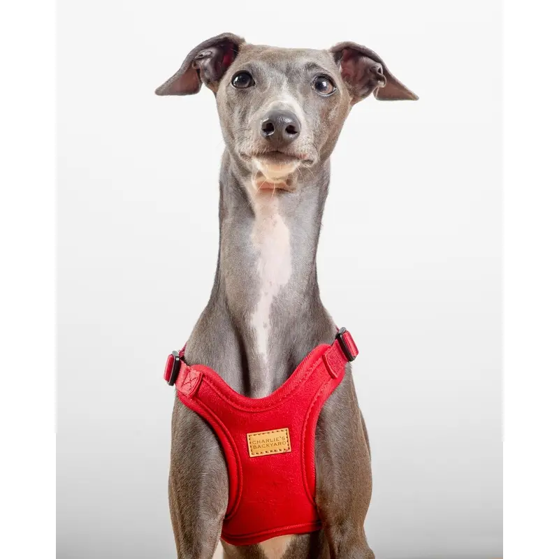 Comfort Dog Harness in Red
