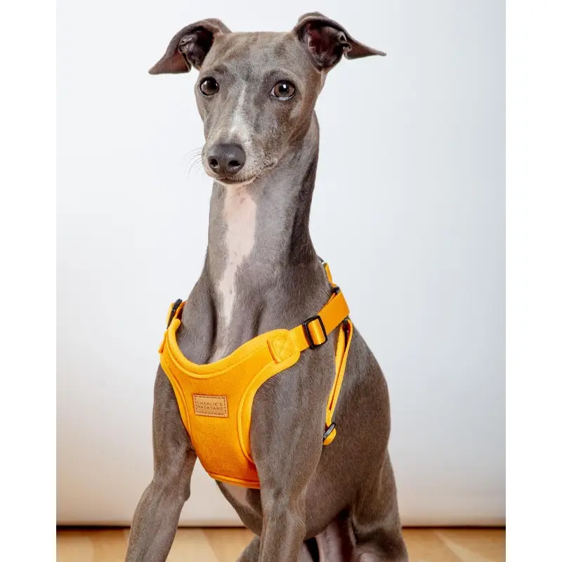 Comfort Dog Harness in Yellow