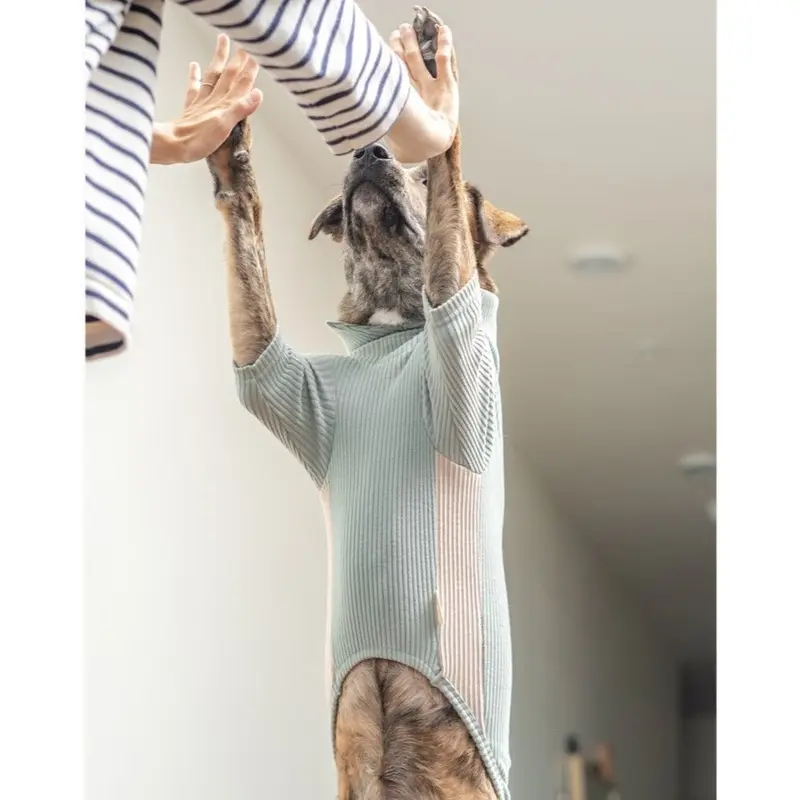 High Neck Dog Tee in Sage Green (FINAL SALE)